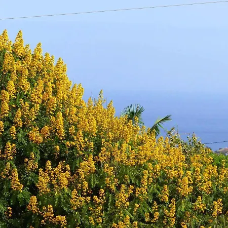2 Bedrooms With Sea View And Furnished Terrace At 4 Km Away From The Lägenhet *